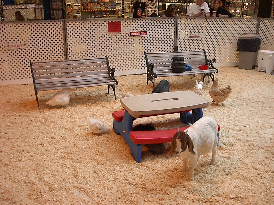 Kinderboerderij Dondertman